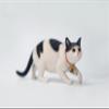 WLNTDOLA 1:6 Scale Chinese Garden Cat 3.0 Figure Realistic Felidae Resin Cat Model Collector Animal Creative Decor Gift for Adult (JXK179A1) view 3