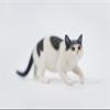WLNTDOLA 1:6 Scale Chinese Garden Cat 3.0 Figure Realistic Felidae Resin Cat Model Collector Animal Creative Decor Gift for Adult (JXK179A1) view 4