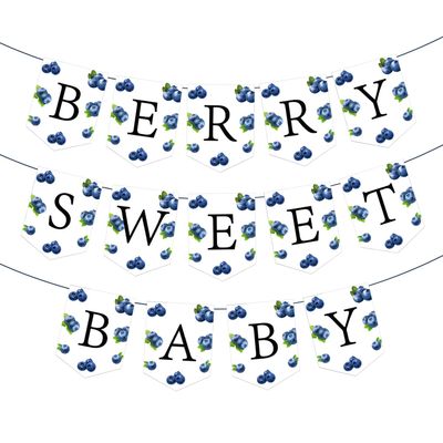 17Pcs Berry Sweet Baby Banner, Blueberry Themed Photo Decoration Props, Baby Shower Birthday Party Decorations Supplies