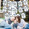 17Pcs Berry Sweet Baby Banner, Blueberry Themed Photo Decoration Props, Baby Shower Birthday Party Decorations Supplies view 4