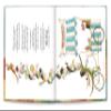 A Birthday Gift For a Someone Like You - Personalized Children's Book - I See Me! (Softcover) view 3