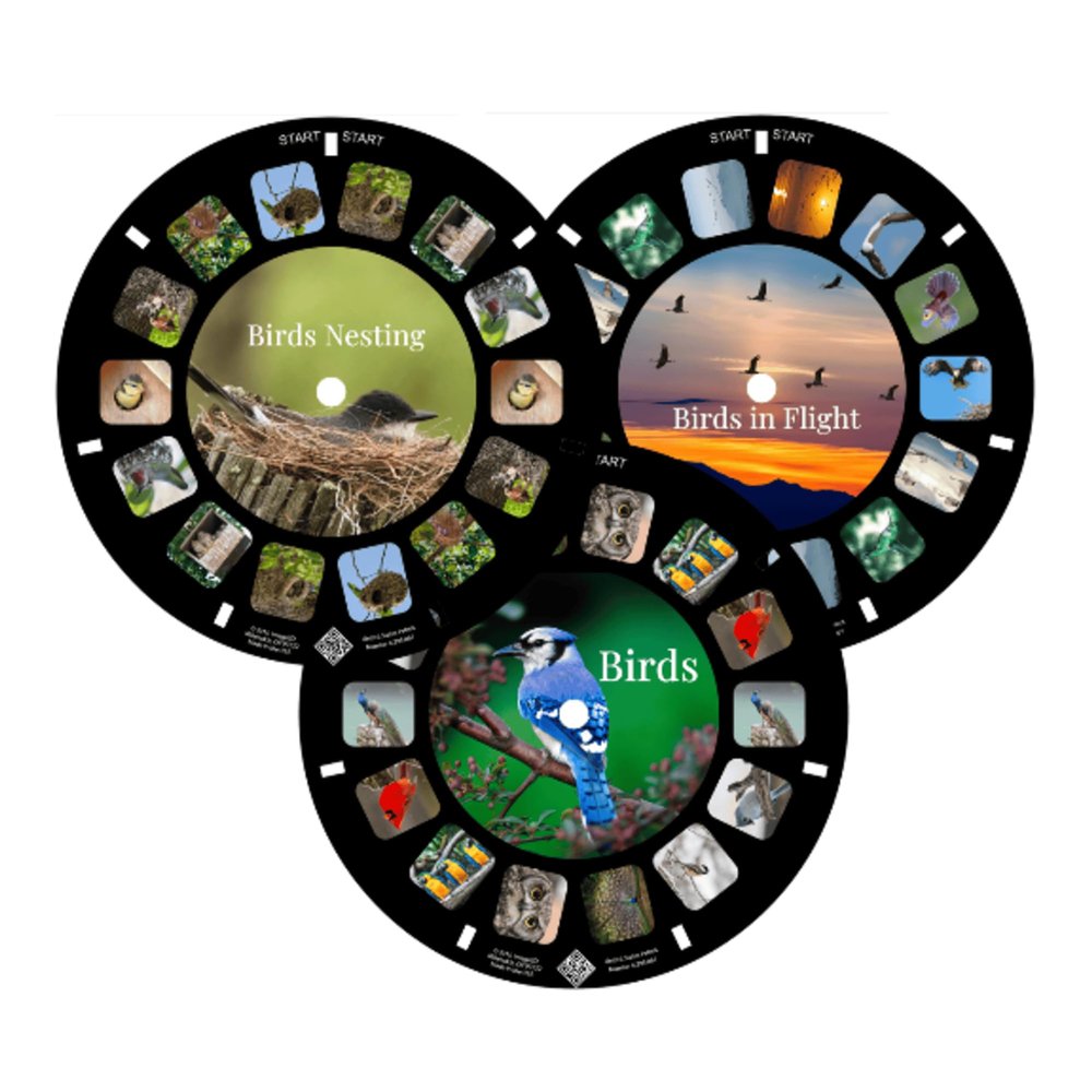 MayKo Bird Reels for Viewfinder Compatible View Master Viewers. Set of 3 (Reels Only)