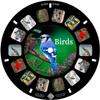 MayKo Bird Reels for Viewfinder Compatible View Master Viewers. Set of 3 (Reels Only) view 2