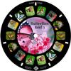 MayKo Butterfly Reels for Viewfinder. Compatible with Viewmaster Classic Viewers. Set of 3 (Reels Only) view 4
