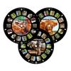 MayKo Farm Animal Reels for Viewfinder, Domestic Animals, Compatible with Viewmaster Classic Viewers. Set of 3 (Reels Only) view 1