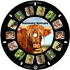 MayKo Farm Animal Reels for Viewfinder, Domestic Animals, Compatible with Viewmaster Classic Viewers. Set of 3 (Reels Only) view 3