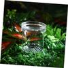 CORHAD 20pcs Portable Critter Boxes Observation Containers for Boys and Girls Educational Insect Cages Safe Live Collecting Accessory for Home Science Exploration view 4