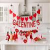Galentines Gang Banner, Happy Galentines Day Banner, Galentines Day Decorations, HGB Valentines Day Party Decorations, Girl Lady Galentines Day Party Decorations with Hearts Garland, Pre-assembled view 2