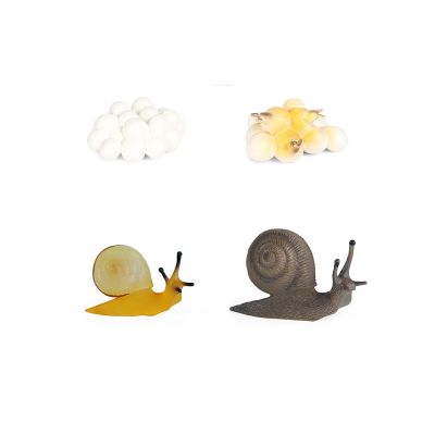 shenhailan Realistic Animal Growth Cycle Model, Garden Animals for Collect and Decorate Halloween Props (Snail) OX117-120