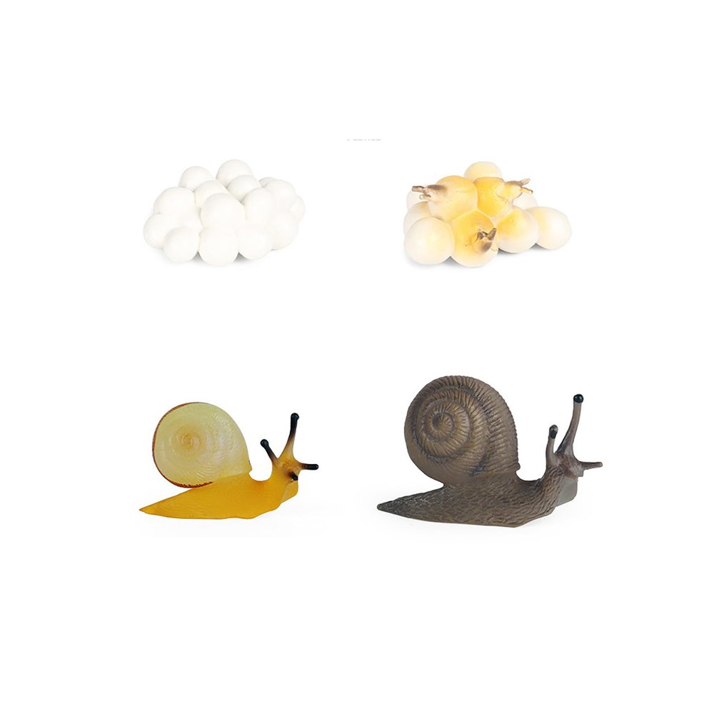 shenhailan Realistic Animal Growth Cycle Model, Garden Animals for Collect and Decorate Halloween Props (Snail) OX117-120