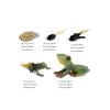 shenhailan Realistic Animal Growth Cycle Model, Garden Animals for Collect and Decorate Halloween Props (Frog) OX117-111 view 2