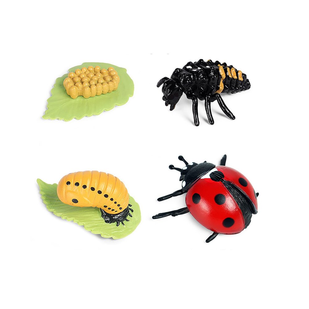 shenhailan Realistic Animal Growth Cycle Model, Garden Animals for Collect and Decorate Halloween Props (Ladybug) OX117-122