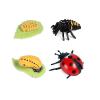 shenhailan Realistic Animal Growth Cycle Model, Garden Animals for Collect and Decorate Halloween Props (Ladybug) OX117-122 view 1