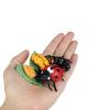 shenhailan Realistic Animal Growth Cycle Model, Garden Animals for Collect and Decorate Halloween Props (Ladybug) OX117-122 view 3