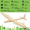 Dancing Wings Hobby Balsa Wood Radio Remote Controlled Electric F16 Glider Sunbird Aeroplane (F1604C-R10) view 3