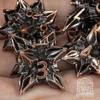 Sage's Portal Deadly Blossoms Metal DND Dice 7 Piece Polyhedral Dice Set for DND TTRPG Dungeons and Dragons Pathfinder Oversized Designer Ornamental Dice (Copper) view 3