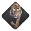 GOODOLD Tiger Baby Towel Cotton Hooded Towels 35x35 Inch Ultra Soft and Absorbent Bath Towels for Babies, Perfect for Boys Girls view 1