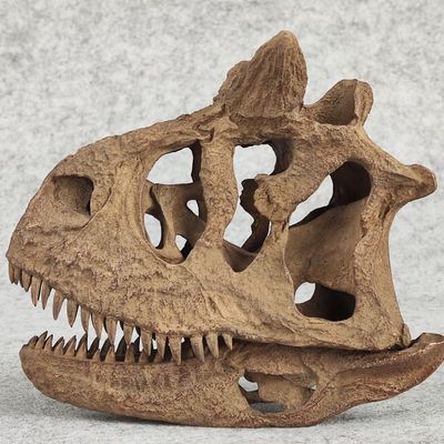 WLNTDOLA 1:4 Scale Carnotaurus Skull Model Abelisauridae Resin Carnivorous Dinosaurs Figure Skeleton Collector GK Decor Gift for Adult