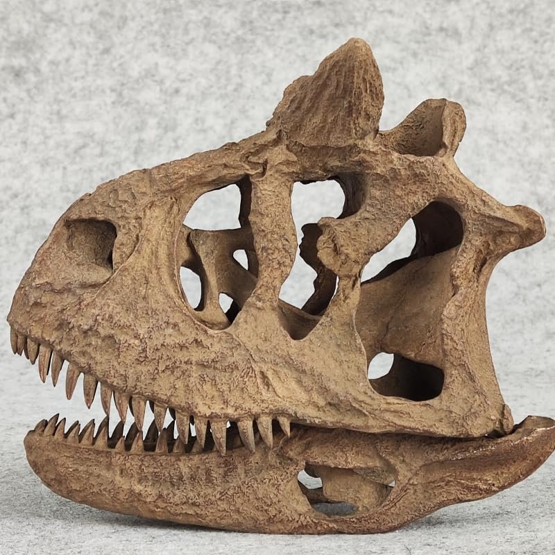 WLNTDOLA 1:4 Scale Carnotaurus Skull Model Abelisauridae Resin Carnivorous Dinosaurs Figure Skeleton Collector GK Decor Gift for Adult