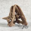 WLNTDOLA 1:4 Scale Carnotaurus Skull Model Abelisauridae Resin Carnivorous Dinosaurs Figure Skeleton Collector GK Decor Gift for Adult view 2