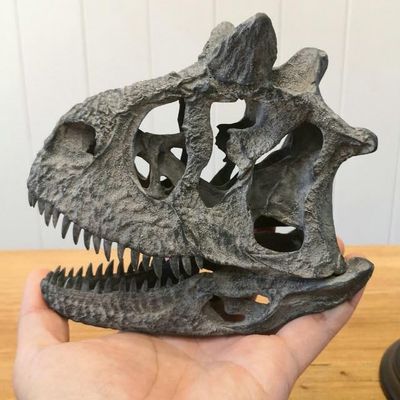 WLNTDOLA VWUVWU Carnotaurus Skull Skeleton Model Abelisauridae Resin Dinosaur Model GK Decor Animal Collector Gift for Adult