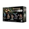 Stormcast Eternals: The Blacktalons view 1