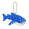 (AMUFUN) Amuse Gabuccho Whale Shark LMC (Deep Blue) 703963 view 1
