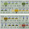1914: at Villers Cottrts (Version 2) - Tactical Battalion Scale Wargame - War Board Game Include Map, Counters, Rule Book, Player Aid Cards & Dice view 3