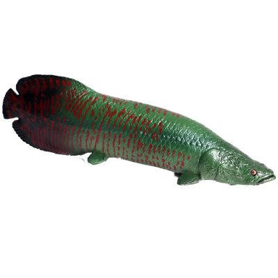 JOKFEICE Ocean Sea Animal Toys, Realistic Arapaima Fairy Garden Accessories, Learning Educational Toys for Christmas Birthday Cake Topper Gift for Kids Without Base