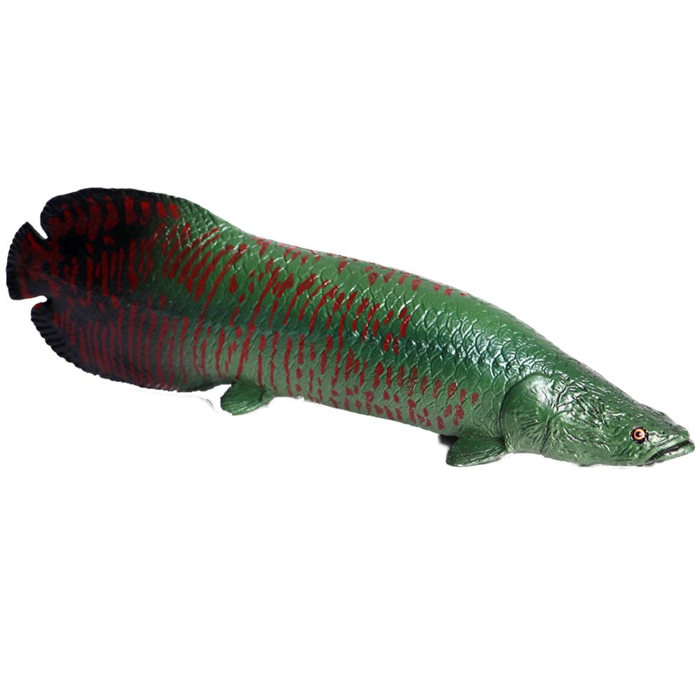 JOKFEICE Ocean Sea Animal Toys, Realistic Arapaima Fairy Garden Accessories, Learning Educational Toys for Christmas Birthday Cake Topper Gift for Kids Without Base