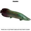 JOKFEICE Ocean Sea Animal Toys, Realistic Arapaima Fairy Garden Accessories, Learning Educational Toys for Christmas Birthday Cake Topper Gift for Kids Without Base view 2