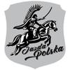 Avisa AutoTattoo Sticker Husar 3D Chrome - 6,33 x 7 cm view 2
