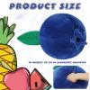 Beeveer Decorative Cute Blueberry Plush Pillow Kawaii Fruit Gifts Stuff Hugging Plushies Gift Soft Novelty Pillow Cushion Seat Decor for Gift Home Decor view 2