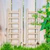 20 Pcs Mini Garden Ladder - 2.36'' x 0.78'' Wooden Miniature Ladder Accessories for Landscape Dollhouse Decor view 3