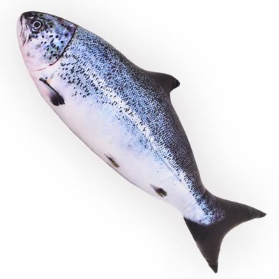 31 inch Giant Simulation Fish Stuffed Animal,Soft Salmon Cushion Pillow 3D Simulation Fish Plush Pillows,Chubby Stuffed Salmon Toy Throw Pillow for Kid's Room Dcor Pillow, Kids Gift (31inch/ 80cm)