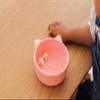 Spoondrift 100% Food Grade Silicone Slip-Proof Suction Cat Shaped Bowl for Toddler Mealtime | Non-Toxic | Easy to Clean | Choose from 3 Colors (Pink Cosmos) view 4