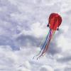 Flying Hoofer Large Octopus Kites(4packs) for Kids and Adults - Easy to Fly, 28X158 3D Software Colorful Kite with Long Tails. Perfect for Beach and Outdoor Activities (Red&Blue&Orange&Purple). view 2