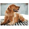 1000 Piece Jigsaw Puzzle for Adults Look Out Golden Retriever Animal Art Picture Gift The Best Jigsaw Puzzle Game for Interactive Emotions view 1