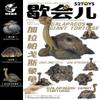 Animal Heavenly Body Studio Chelonoidis Galapagoensis Model Galapagos Giant Tortoise Figure Resin Animal Collector Home Decoration Gift for Adult view 2