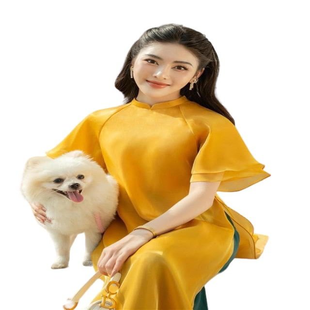 A13 Ao dai Vietnam Vietnamese Traditional Ao Dai For Women, Ao Dai For Women, Vietnamese Dress For Women, Ao Dai Dress For Women Blue ao dai (2XL)