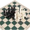 GAENZA New Portable Travel Chess Set, Roll-Up Chess Board, Plastic Chess Piece, Includes Extra Queens and Carry Bag, Classic Chess Toys view 3