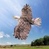 GoolRC Dancing Wings Hobby E1901 EPP RC Airplane Eagle Plane 1430mm Electric Powered Aircarft Unassembled KIT Version DIY Flying Model view 2