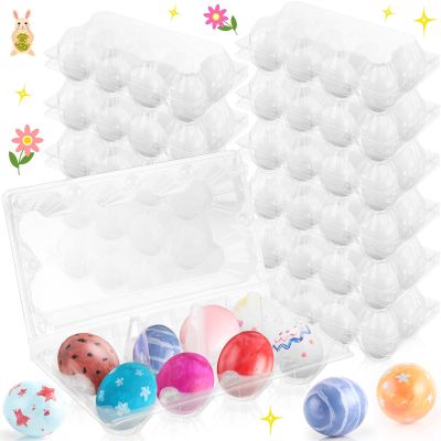 Menkxi 48 Pcs Plastic Easter Eggs with Clear Egg Cartons for Crafts DIY Fake Eggs White Plastic Eggs Paintable Easter Eggs Paint Your Own Eggs for Kids Adults Easter Gift, 8 Piece Per Carton