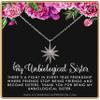 Best Friend Gifts for Women  Unbiological Sister  Christmas Gifts for Women  Stepsister Gifts  Love Friendship  Bonus Sister Necklaces for 2 3  Large Starburst Necklace Silver view 1