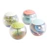 Kaplan Early Learning Rattle and Roll Sensory Ball - Set of 4 view 1