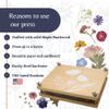 Flower Press Kit | Durable Hardwood 8x10in - Flower Preserving Kit Up to 8 layers - Floral Preservation kits for adults and kids | Innovative and Giftable Floral Pressing kit for Craft Enthusiasts view 2