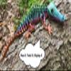 3D By Billy B The Articulating Rainbow Skeleton Crocodile Sculpture/Fidget Toy view 4
