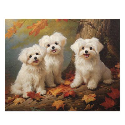 Jigsaw Puzzles 1000 Pieces for Adults,Maltese Dogs in Autumn Park Jigsaw Dogs in The Forest Kids Puzzle Leisure Puzzle Games Fun Toys Girls Adult Teen Gifts