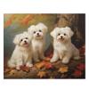 Jigsaw Puzzles 1000 Pieces for Adults,Maltese Dogs in Autumn Park Jigsaw Dogs in The Forest Kids Puzzle Leisure Puzzle Games Fun Toys Girls Adult Teen Gifts view 1