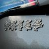 The Bear 5-Pack Car Badge Emblem in Matte Black  ABS Resin Composite, Chrome Finish 3D Decal for Vehicle Exterior view 3